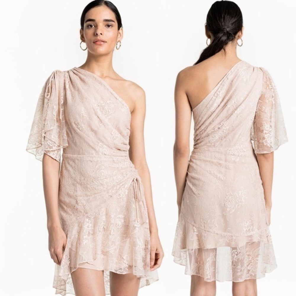 A.L.C. One Shoulder Lace Blush Dress